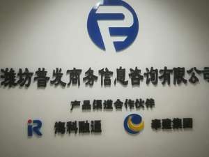 普發商務 專業商務信息咨詢，助力企業戰略決策與創新發展