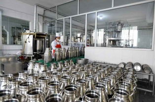 金正恩視察平壤兒童食品廠，鼓勵打造世界領(lǐng)先工廠